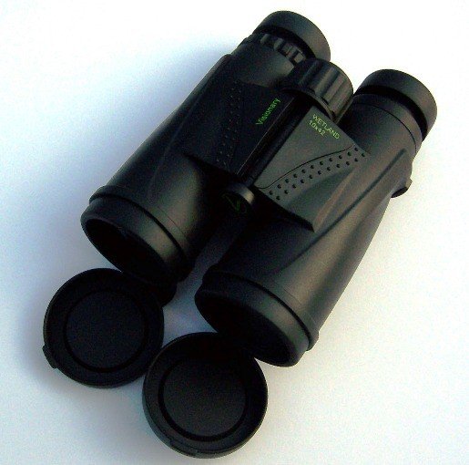 Visionary Wetland 10x42 Binoculars